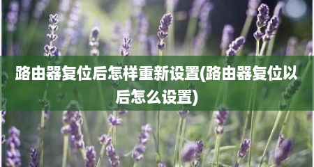 路由器复位后怎样重新设置(路由器复位以后怎么设置)
