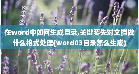 在word中如何生成目录,关键要先对文档做什么格式处理(word03目录怎么生成)