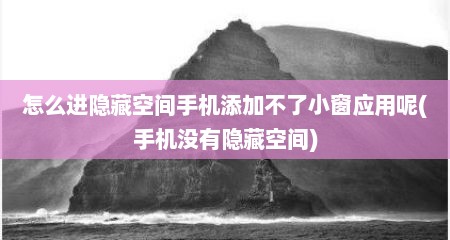 怎么进隐藏空间手机添加不了小窗应用呢(手机没有隐藏空间)