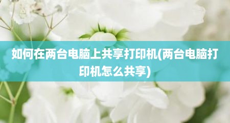 如何在两台电脑上共享打印机(两台电脑打印机怎么共享)