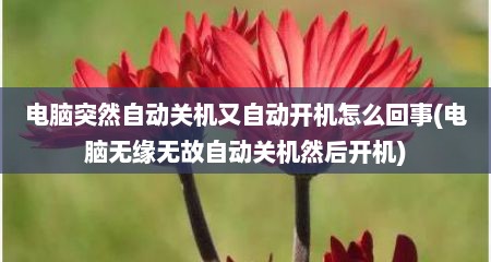 电脑突然自动关机又自动开机怎么回事(电脑无缘无故自动关机然后开机)
