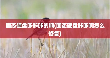 固态硬盘咔咔咔的响(固态硬盘咔咔响怎么修复)
