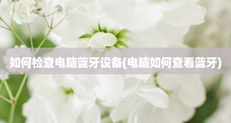 如何检查电脑蓝牙设备(电脑如何查看蓝牙)