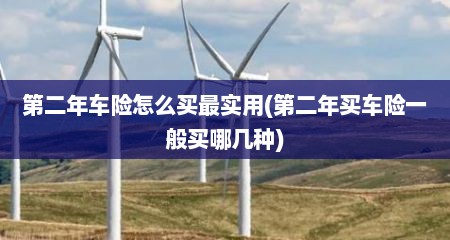 第二年车险怎么买最实用(第二年买车险一般买哪几种)