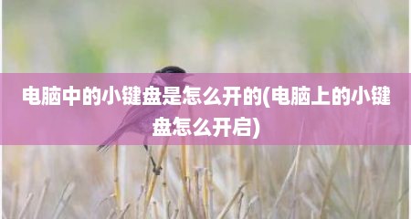 电脑中的小键盘是怎么开的(电脑上的小键盘怎么开启)