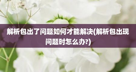 解析包出了问题如何才能解决(解析包出现问题时怎么办?)