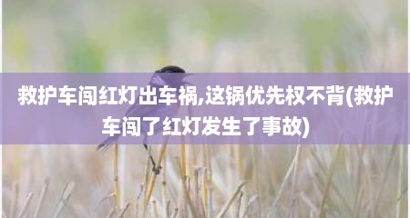 救护车闯红灯出车祸,这锅优先权不背(救护车闯了红灯发生了事故)