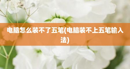 电脑怎么装不了五笔(电脑装不上五笔输入法)