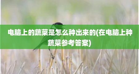 电脑上的蔬菜是怎么种出来的(在电脑上种蔬菜参考答案)