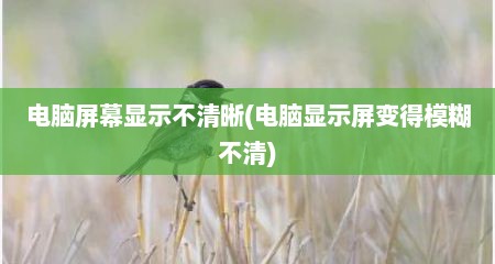 电脑屏幕显示不清晰(电脑显示屏变得模糊不清)