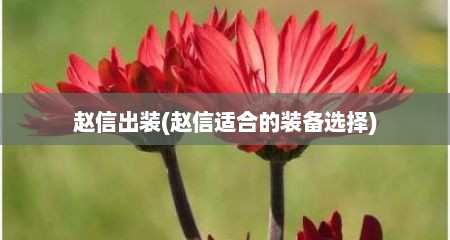 赵信出装(赵信适合的装备选择)