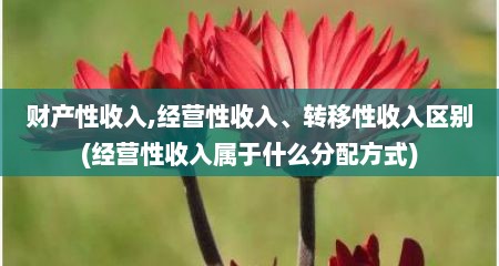 财产性收入,经营性收入、转移性收入区别(经营性收入属于什么分配方式)