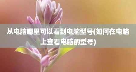 从电脑哪里可以看到电脑型号(如何在电脑上查看电脑的型号)