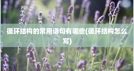 循环结构的常用语句有哪些(循环结构怎么写)