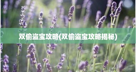 双偷盗宝攻略(双偷盗宝攻略揭秘)