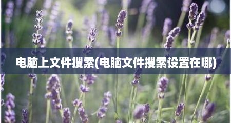 电脑上文件搜索(电脑文件搜索设置在哪)