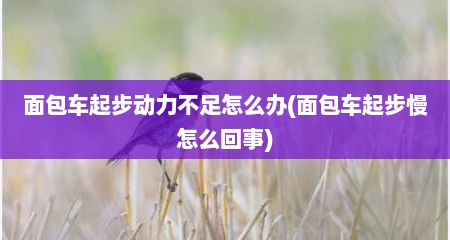 面包车起步动力不足怎么办(面包车起步慢怎么回事)
