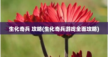 生化奇兵 攻略(生化奇兵游戏全面攻略)