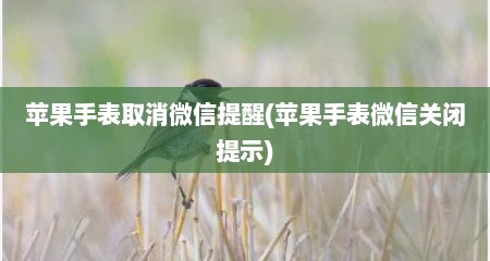 苹果手表取消微信提醒(苹果手表微信关闭提示)