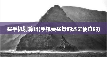 买手机划算吗(手机要买好的还是便宜的)