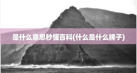 是什么意思秒懂百科(什么是什么牌子)