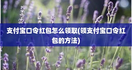 支付宝口令红包怎么领取(领支付宝口令红包的方法)