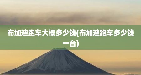 布加迪跑车大概多少钱(布加迪跑车多少钱一台)