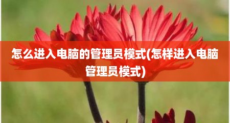 怎么进入电脑的管理员模式(怎样进入电脑管理员模式)