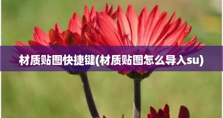 材质贴图快捷键(材质贴图怎么导入su)