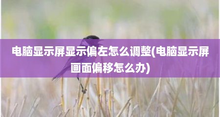 电脑显示屏显示偏左怎么调整(电脑显示屏画面偏移怎么办)