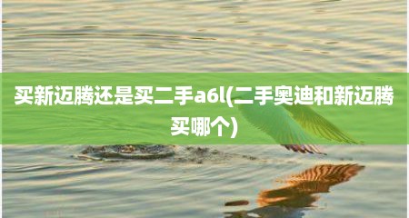 买新迈腾还是买二手a6l(二手奥迪和新迈腾买哪个)