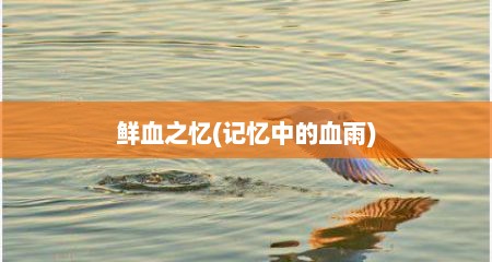 鲜血之忆(记忆中的血雨)