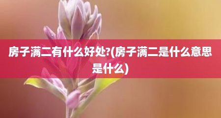 房子满二有什么好处?(房子满二是什么意思是什么)