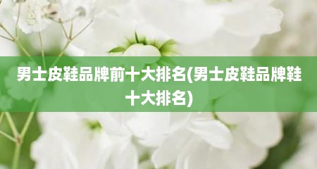 男士皮鞋品牌前十大排名(男士皮鞋品牌鞋十大排名)