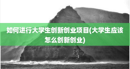 如何进行大学生创新创业项目(大学生应该怎么创新创业)