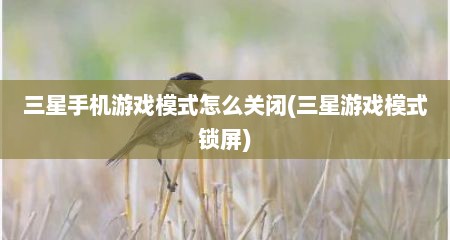 三星手机游戏模式怎么关闭(三星游戏模式锁屏)