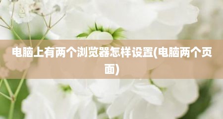 电脑上有两个浏览器怎样设置(电脑两个页面)