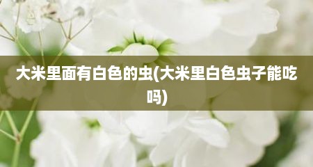 大米里面有白色的虫(大米里白色虫子能吃吗)