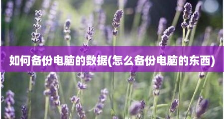 如何备份电脑的数据(怎么备份电脑的东西)