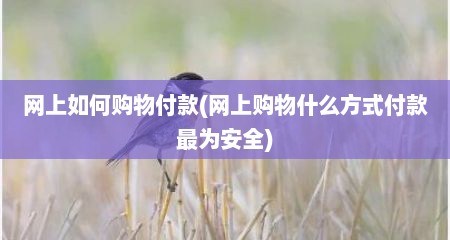 网上如何购物付款(网上购物什么方式付款最为安全)