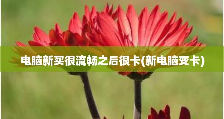 电脑新买很流畅之后很卡(新电脑变卡)
