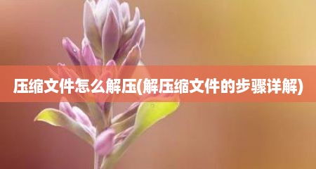 压缩文件怎么解压(解压缩文件的步骤详解)