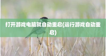 打开游戏电脑就自动重启(运行游戏自动重启)