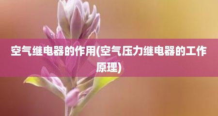 空气继电器的作用(空气压力继电器的工作原理)