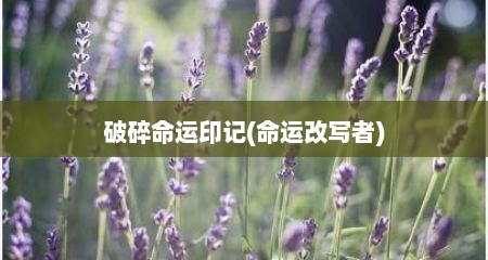 破碎命运印记(命运改写者)