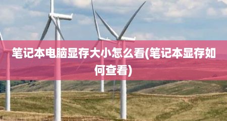 笔记本电脑显存大小怎么看(笔记本显存如何查看)