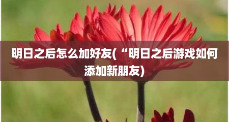 明日之后怎么加好友(“明日之后游戏如何添加新朋友)