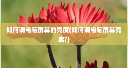 如何调电脑屏幕的亮度(如何调电脑屏幕亮度?)