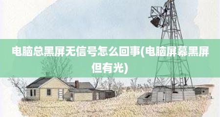 电脑总黑屏无信号怎么回事(电脑屏幕黑屏但有光)