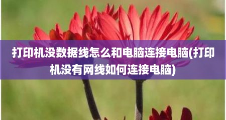 打印机没数据线怎么和电脑连接电脑(打印机没有网线如何连接电脑)